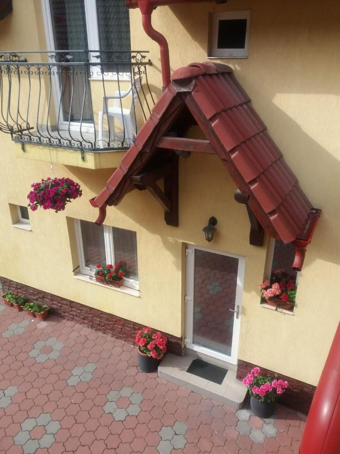 Pensiunea Magnolia Sibiu Ngoại thất bức ảnh