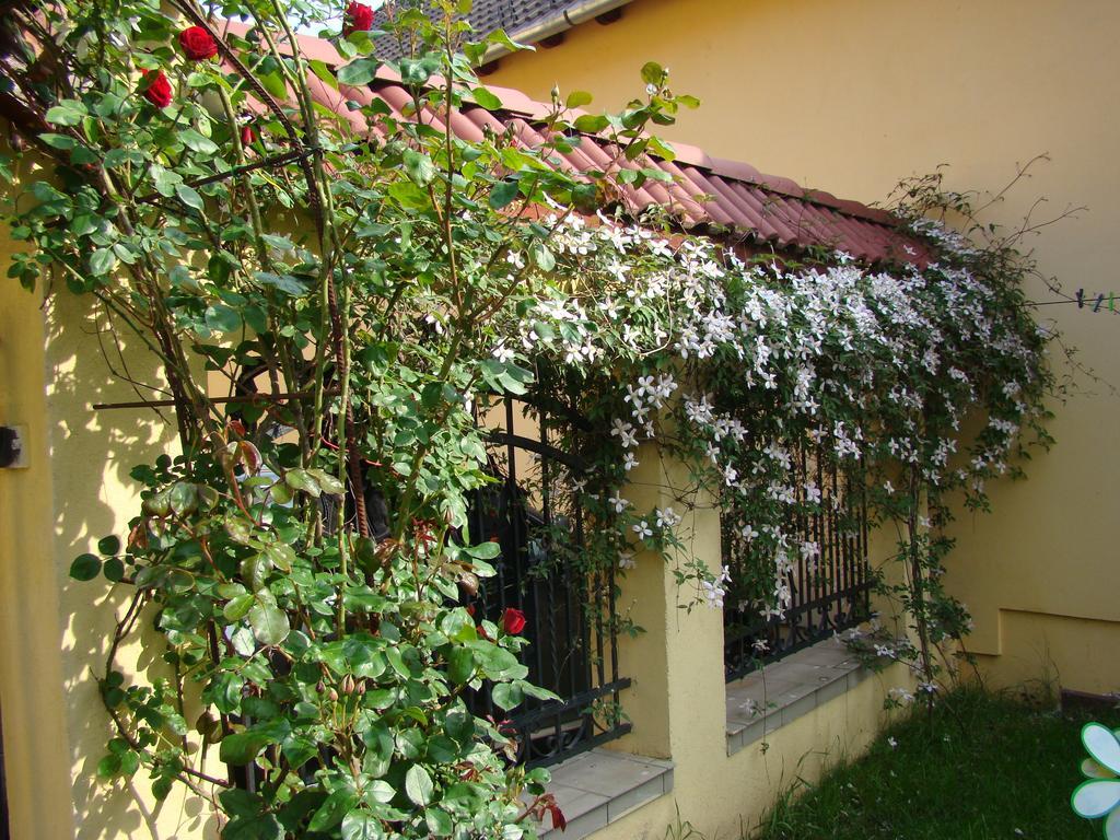 Pensiunea Magnolia Sibiu Ngoại thất bức ảnh