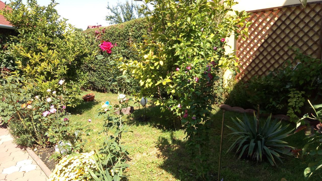 Pensiunea Magnolia Sibiu Ngoại thất bức ảnh