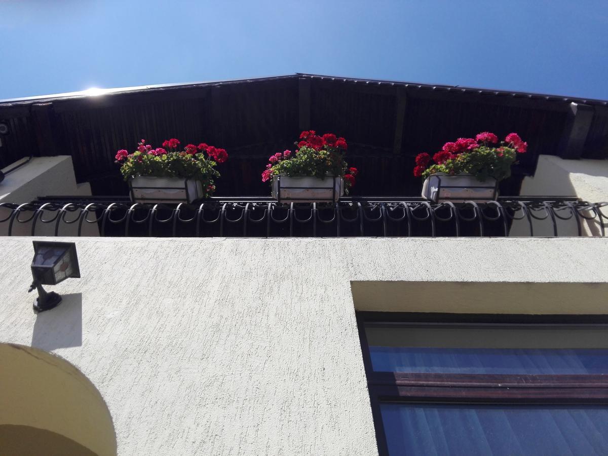 Pensiunea Magnolia Sibiu Ngoại thất bức ảnh