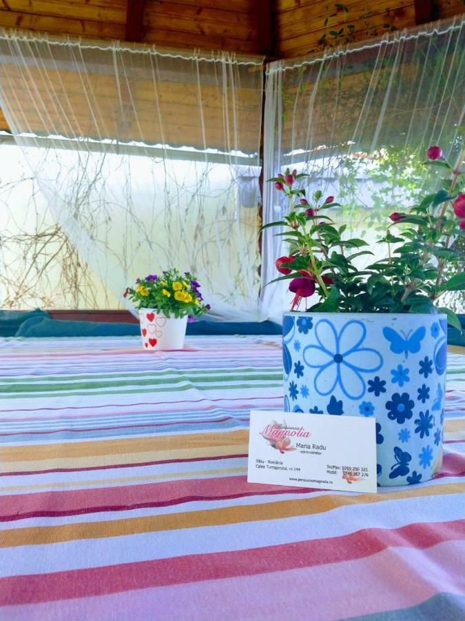 Pensiunea Magnolia Sibiu Ngoại thất bức ảnh